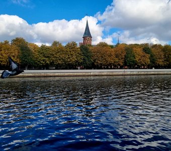 Архитектура Калиниграда