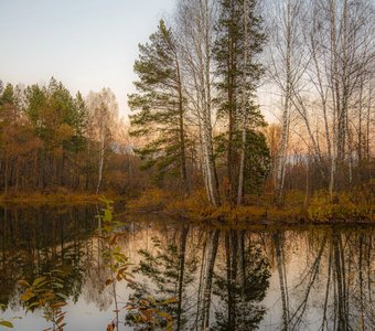 Тихая заводь