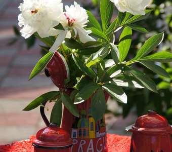 Аромат июня