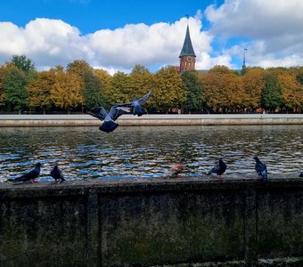 Калининград