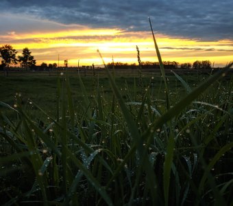 Капли дождя на закате