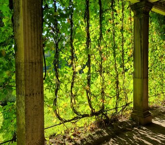 Царское село, Пушкин