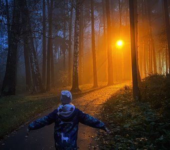 Туманный осенний вечер