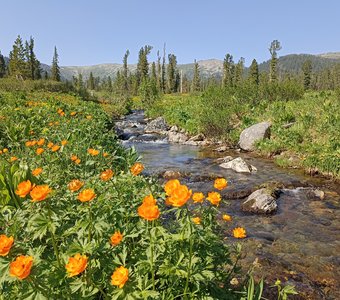 Горная река.Республика Хакасия.Горный парк Ергаки