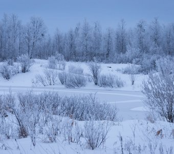 Природа под снегом