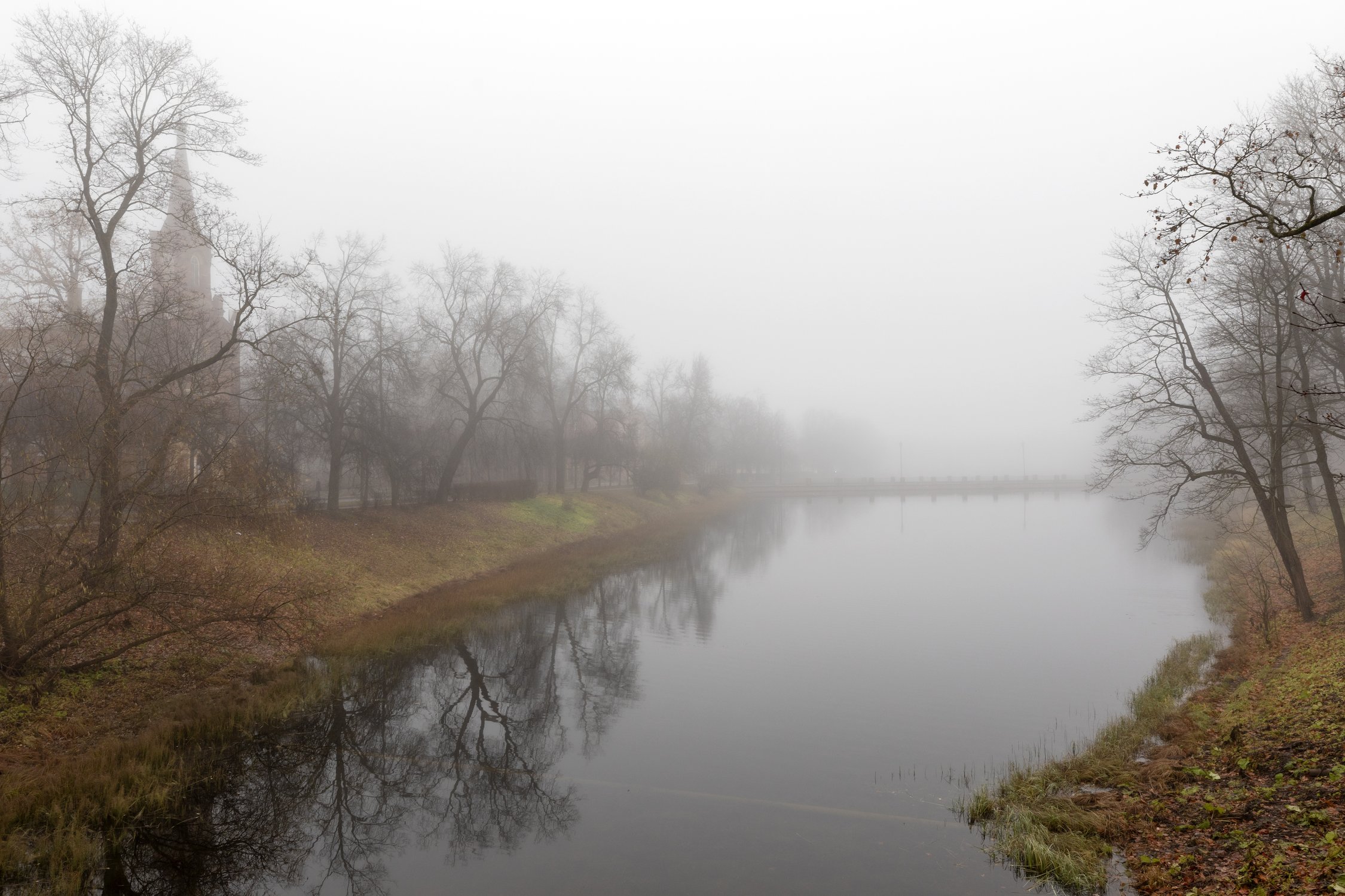 Туман в Царском Селе