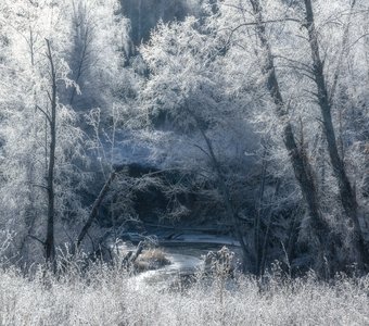 Ноябрьские кружева.