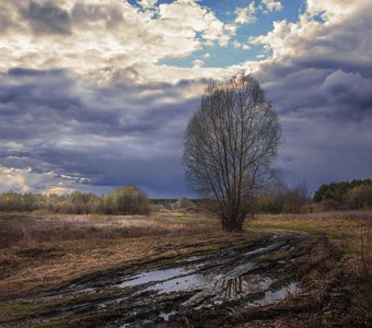 Колорит осенней поры