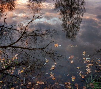 Осень в отражении