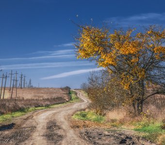 Дорогой длинною...