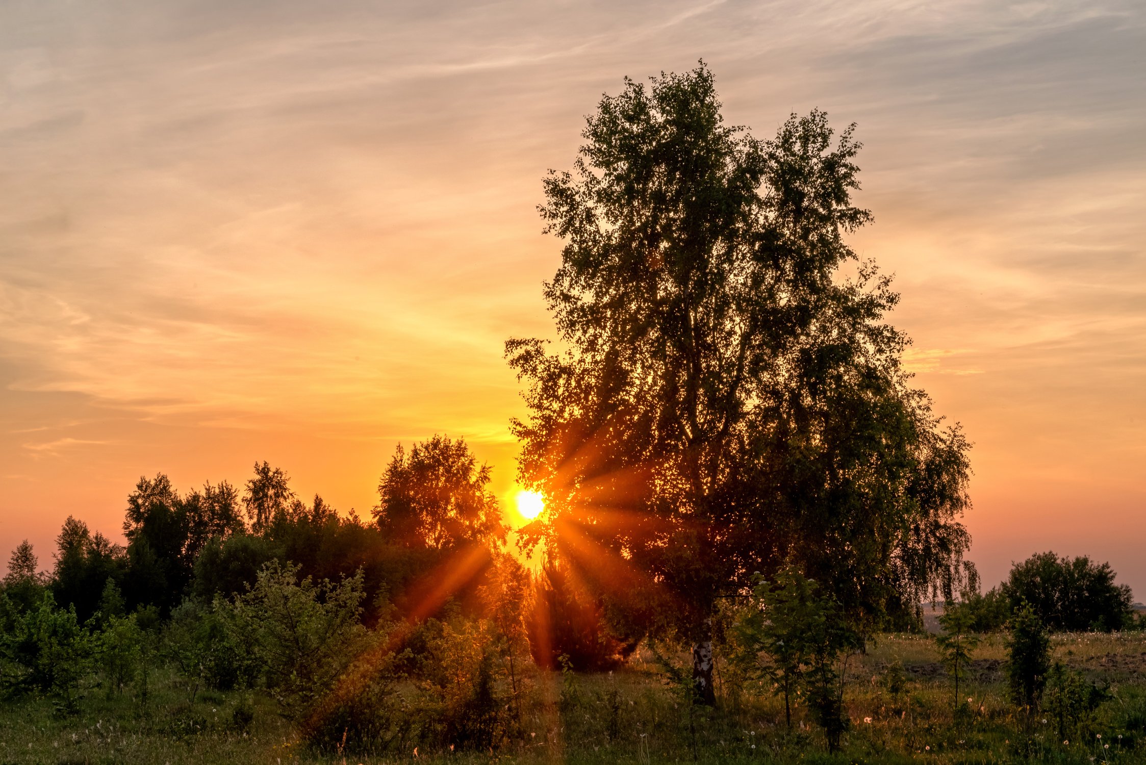 Летний закат