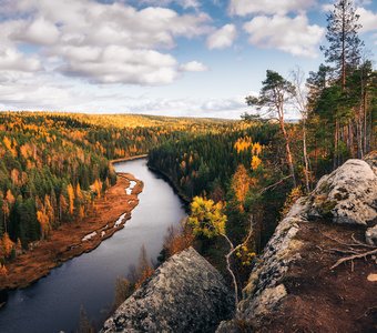 Осень с высоты