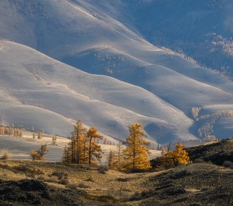 Бархат осени