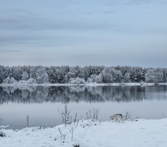 Зимняя охота