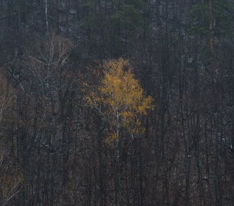 Прощание с осенью