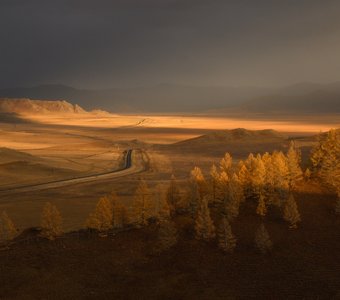 Луч света в темном царстве