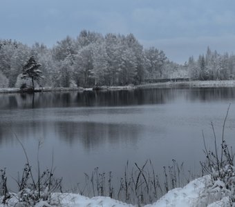 Зимний лес