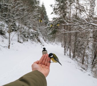 Очередь на ветке
