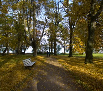 Осень в парке Александрия, город Петергоф