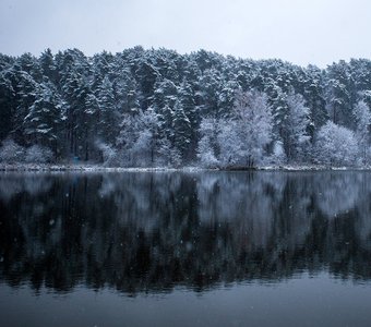 Пруд в Подмосковье