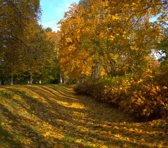 Осенний ковер в парке