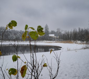 Вот и первый снег