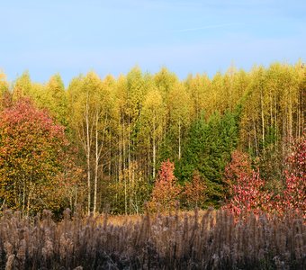 Взгляд в осень