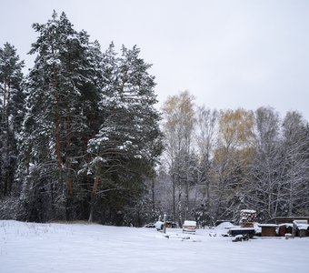 Осень по-зимнему