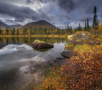 Северное безмолвие