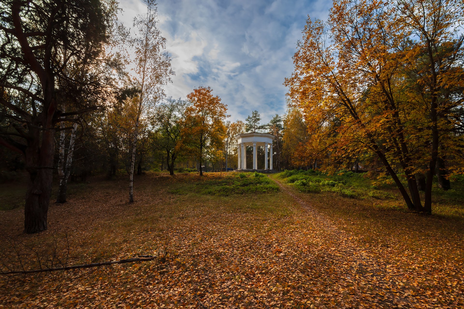 В осеннем парке