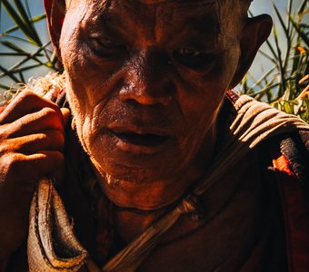 Вся жизнь - в глазах