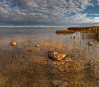 Осеннее утро на заливе