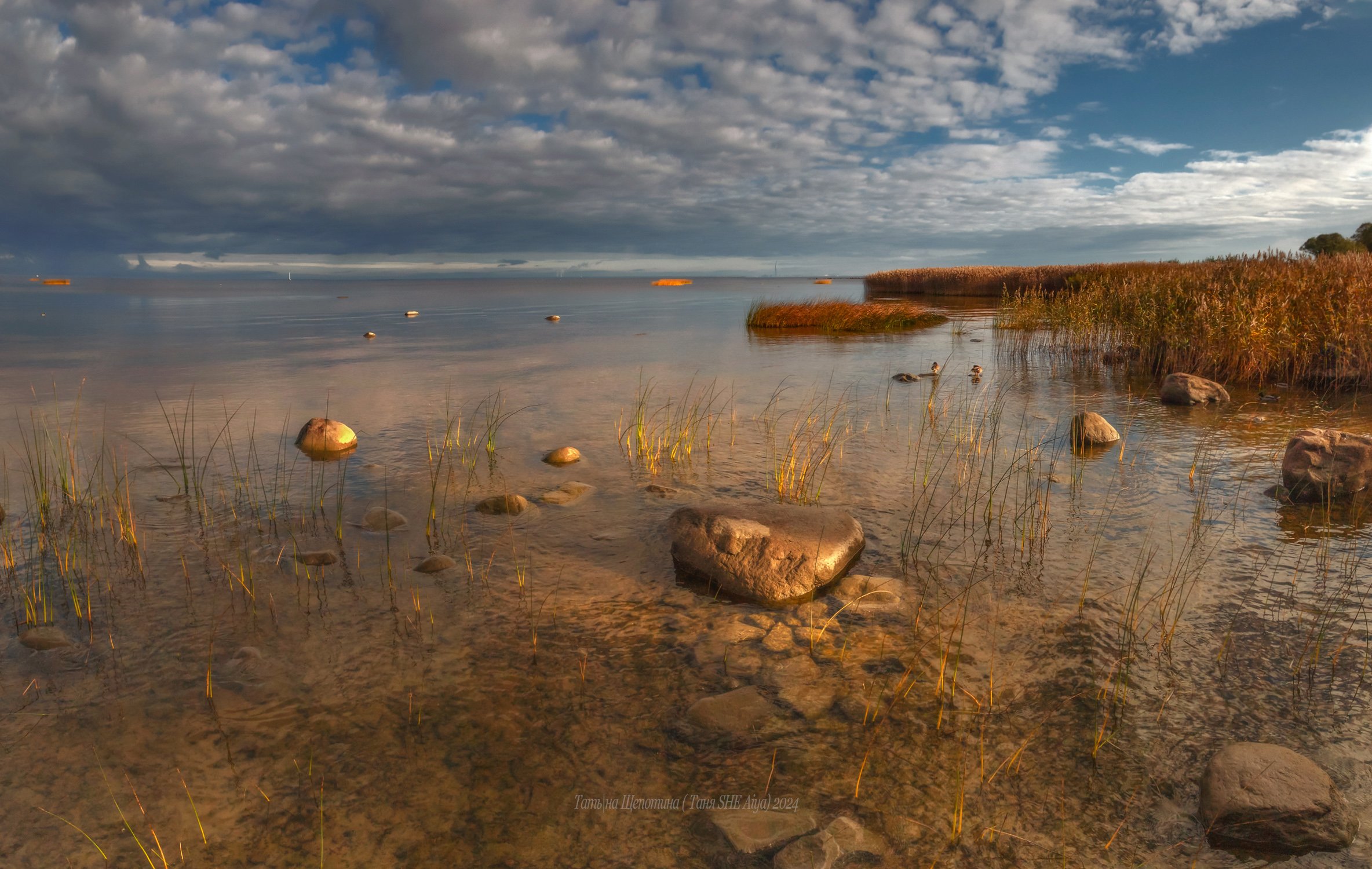 Осеннее утро на заливе