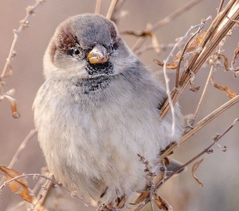 Что смотришь?