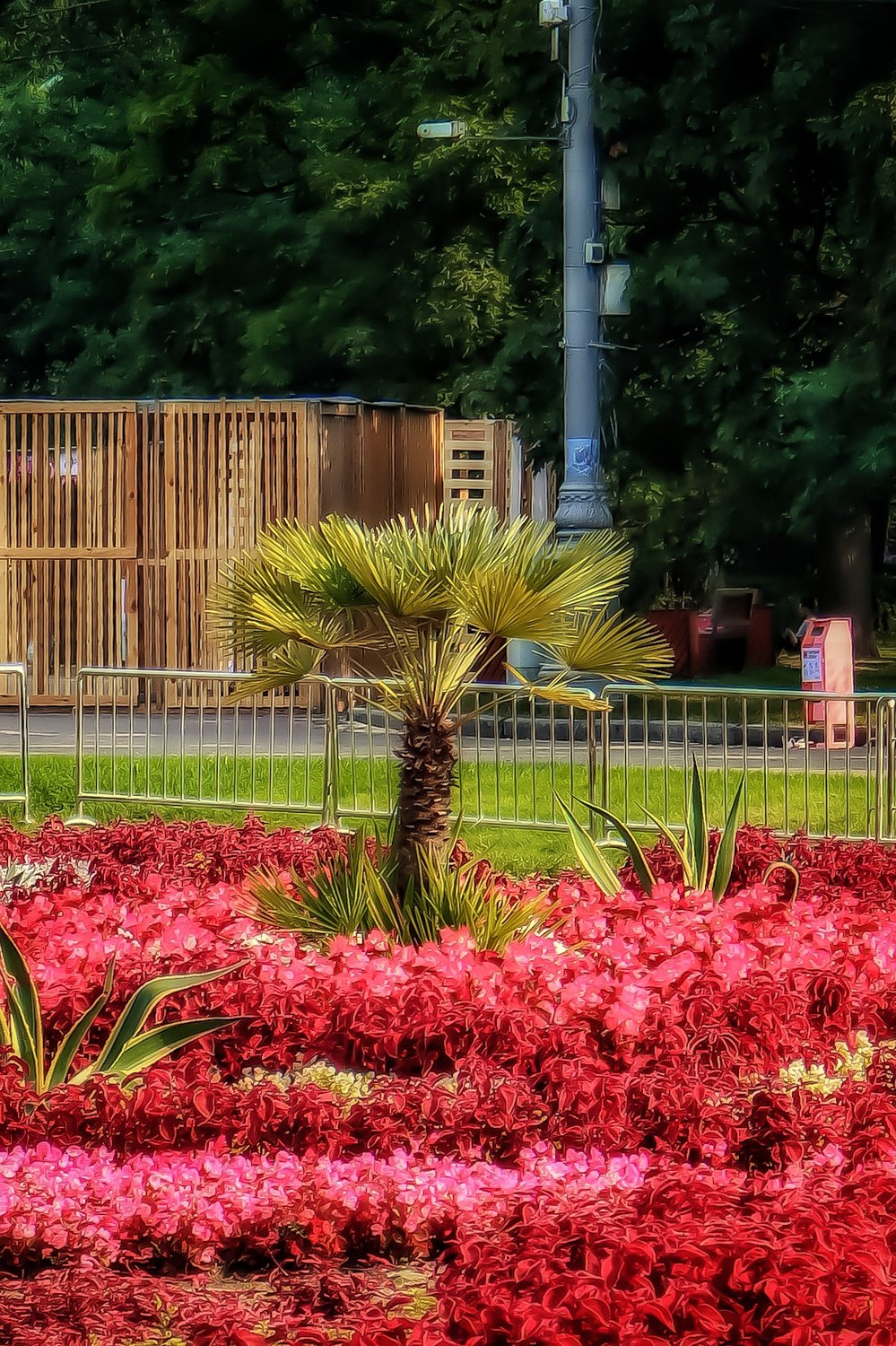 Центральная клумба