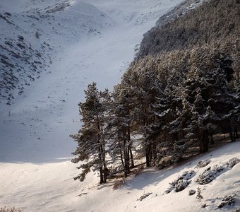 Зима в ущелье Чункурчак