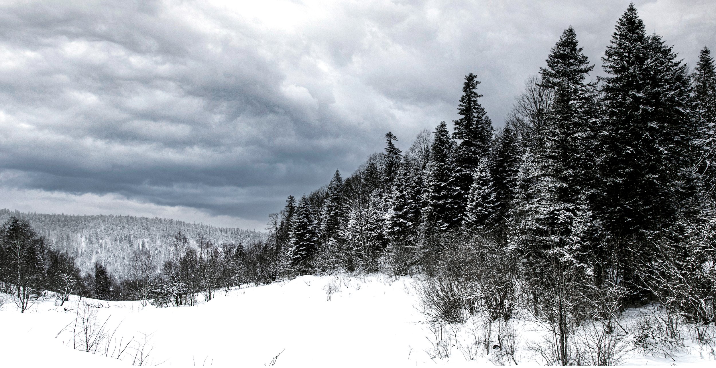 Прекрасная зима