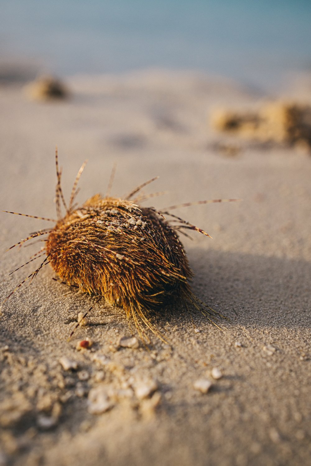 Солнечные ванны