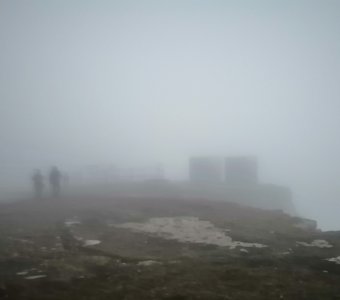 Ёжики в тумане