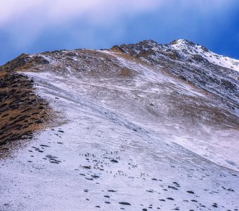 По дороге к небу