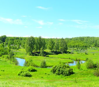 Зеленая долина