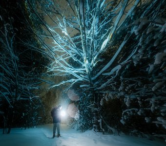 В царстве Дедушки Мороза