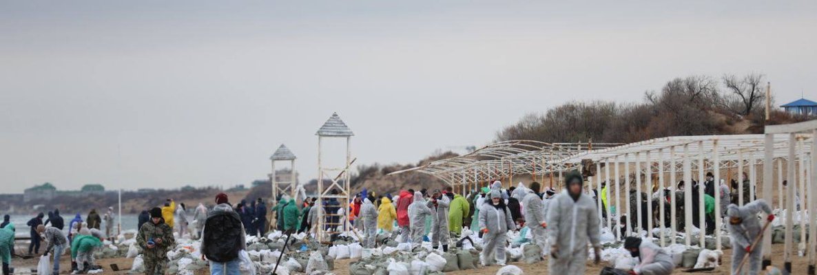 Как в Анапе спасают животных и пляжи от мазута