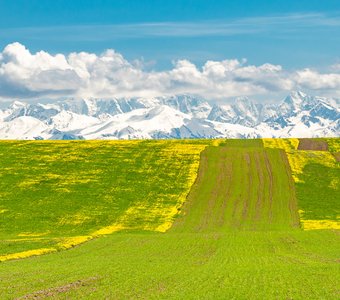 Киргизия, май 2024