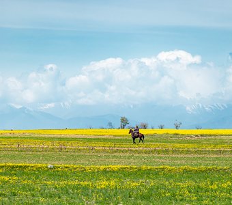 Киргизия, май 2024