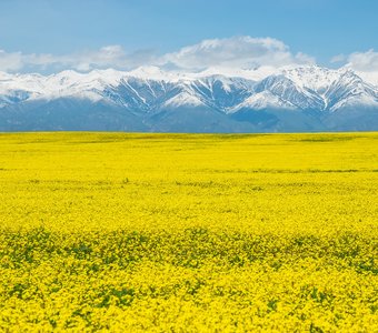 Киргизия, май 2024