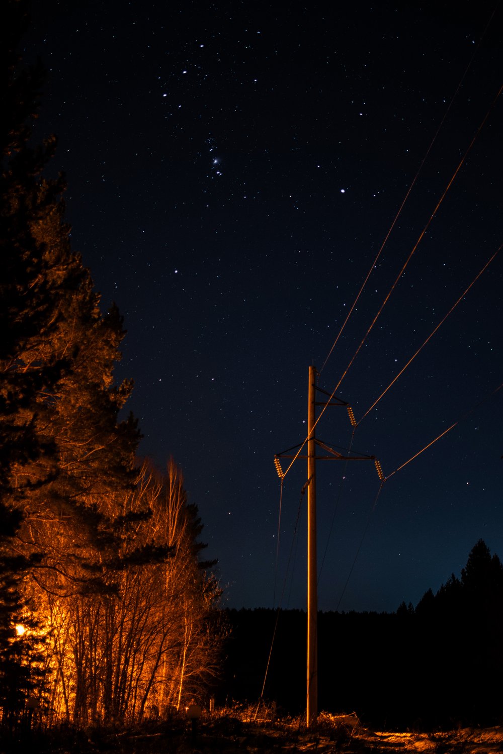 Ночь, просека, фонарь и небо