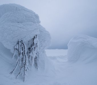 Стражи Паанаярви