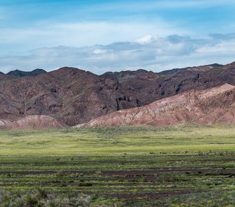 Казахстан, Алтын-Эмель, май 2024