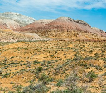 Казахстан, Алтын-Эмель, горы Актау, май 2024